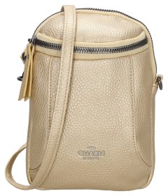 Charm London New York 22459 Gold