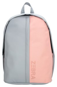Zebra Trends Mischa 23050 Grey