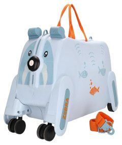 Zebra Trends Ranger W01208 Light blue