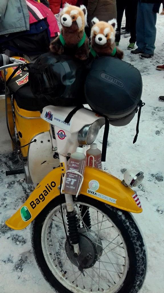 Пандите Bagalio на пионери
