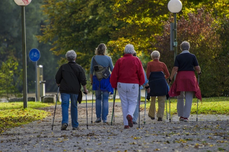 nordic-walking-1814784_1280