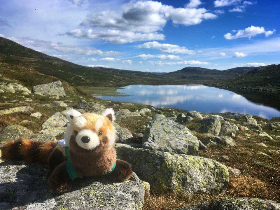 Експедиция Norway - природа