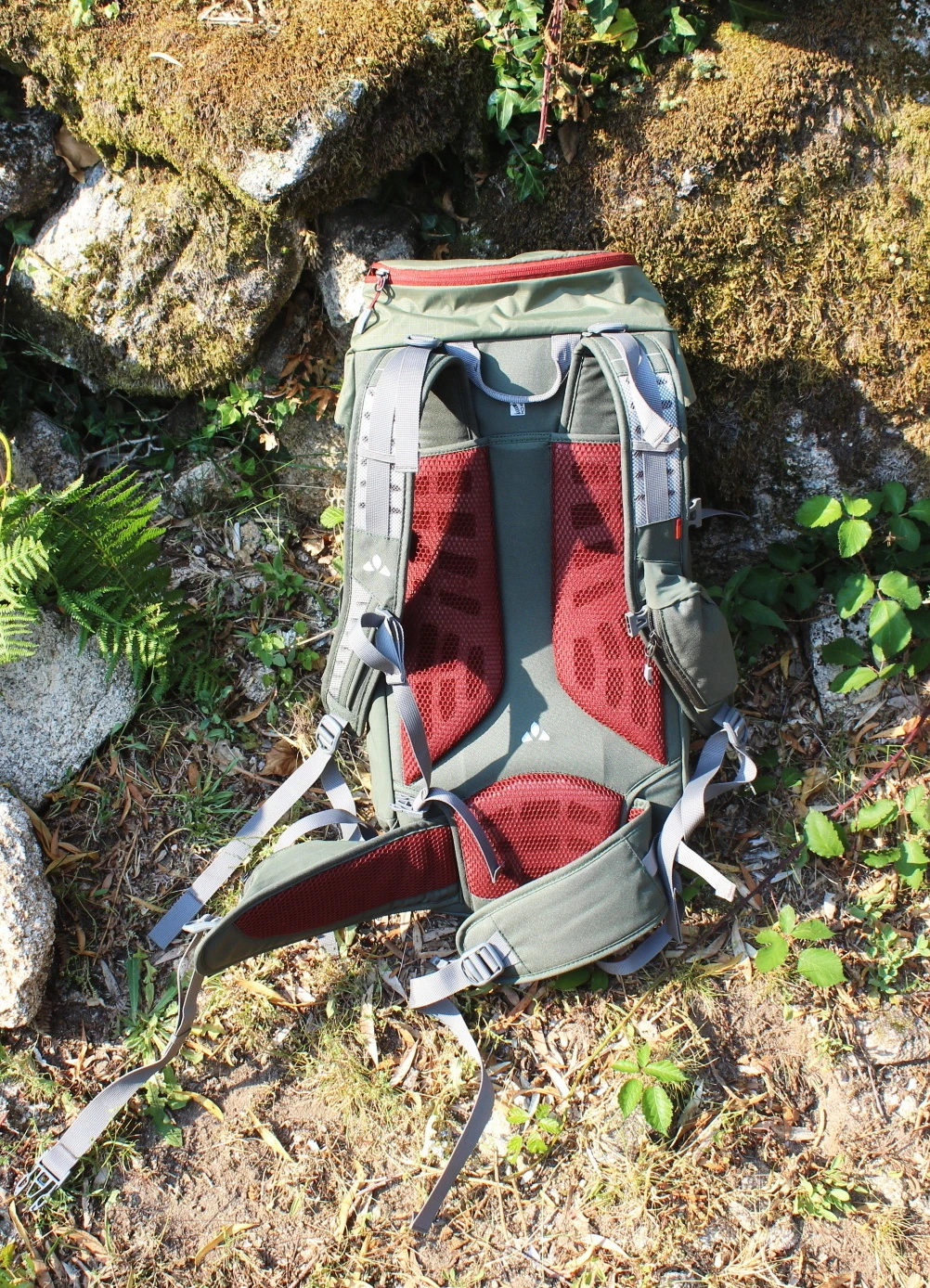 рецензия на vaude prokyon